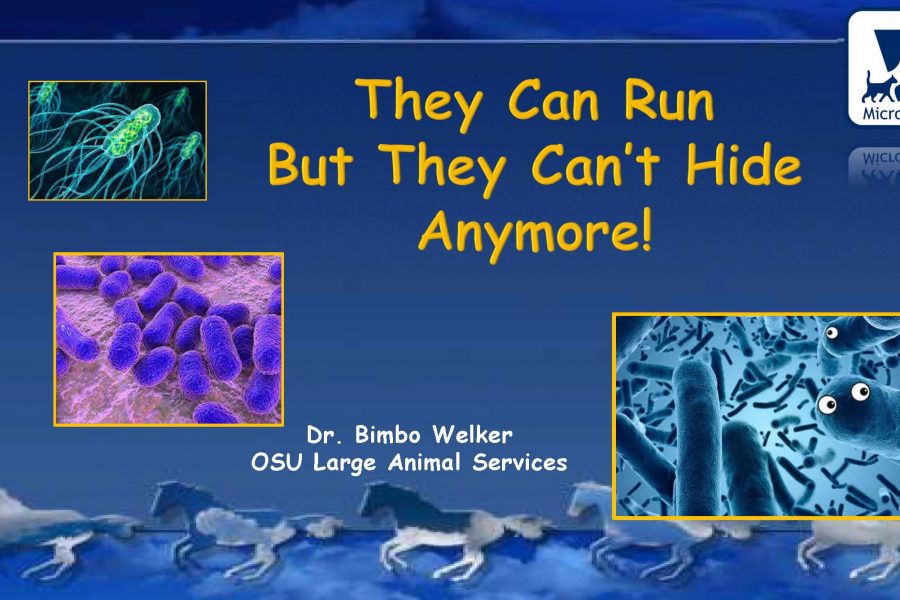 University Talk – Virginia Tech EMC – Dr. Bimbo Welker – Biofilm and NGS – Oct 16 2018