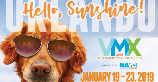 VMX 2019 Social Media Pic